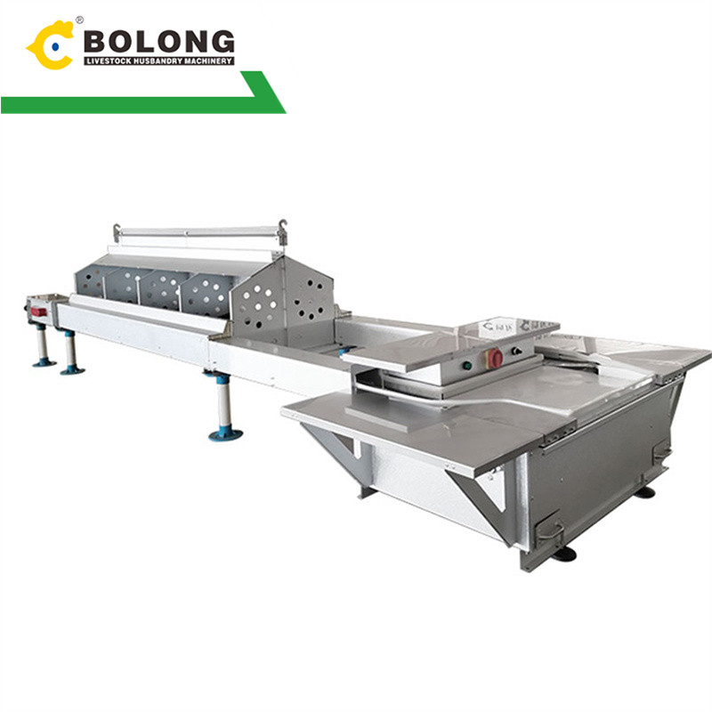 protective Automatic Egg Collector